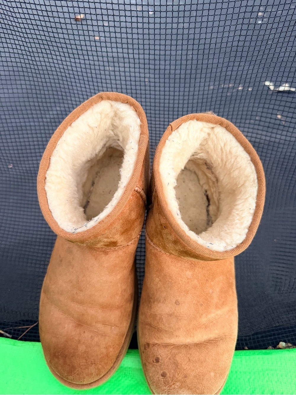 UGG womens Classic Mini Boots | Chestnut | 1002072 - Picture 6 of 9